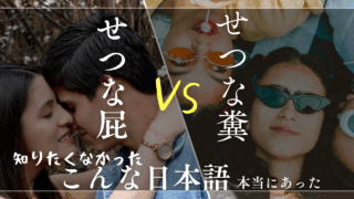 【哲学的】せつな糞とせつな屁の意味は？徳川家康の切なき脱糞と夏目漱石による使い方