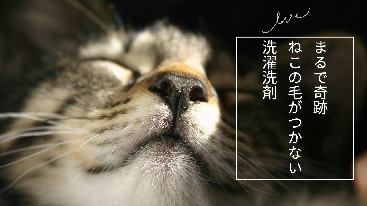 リモサボン類似品